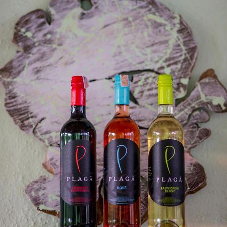 科莫多花园酒店 蓝梦岛 客房 照片